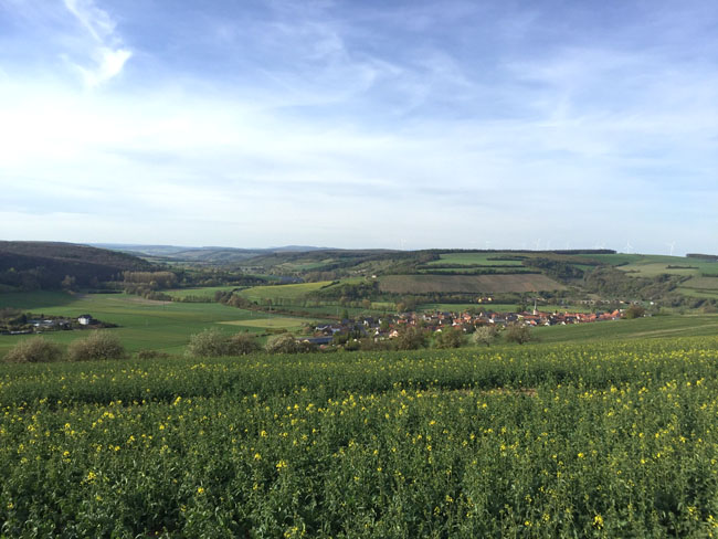 Landschaft Karlstadt
